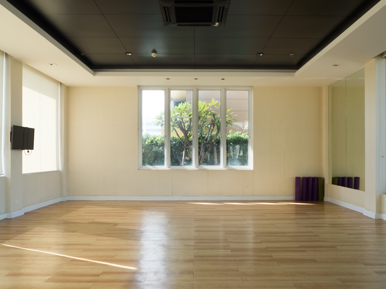 garden room gym