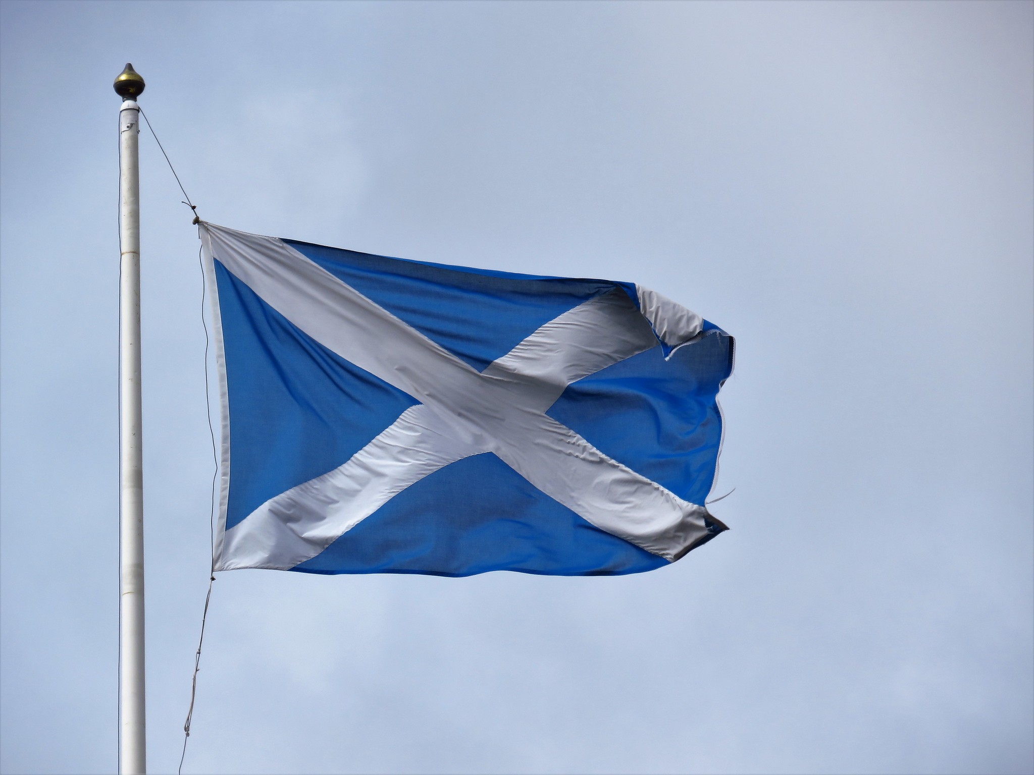 Scottish flag