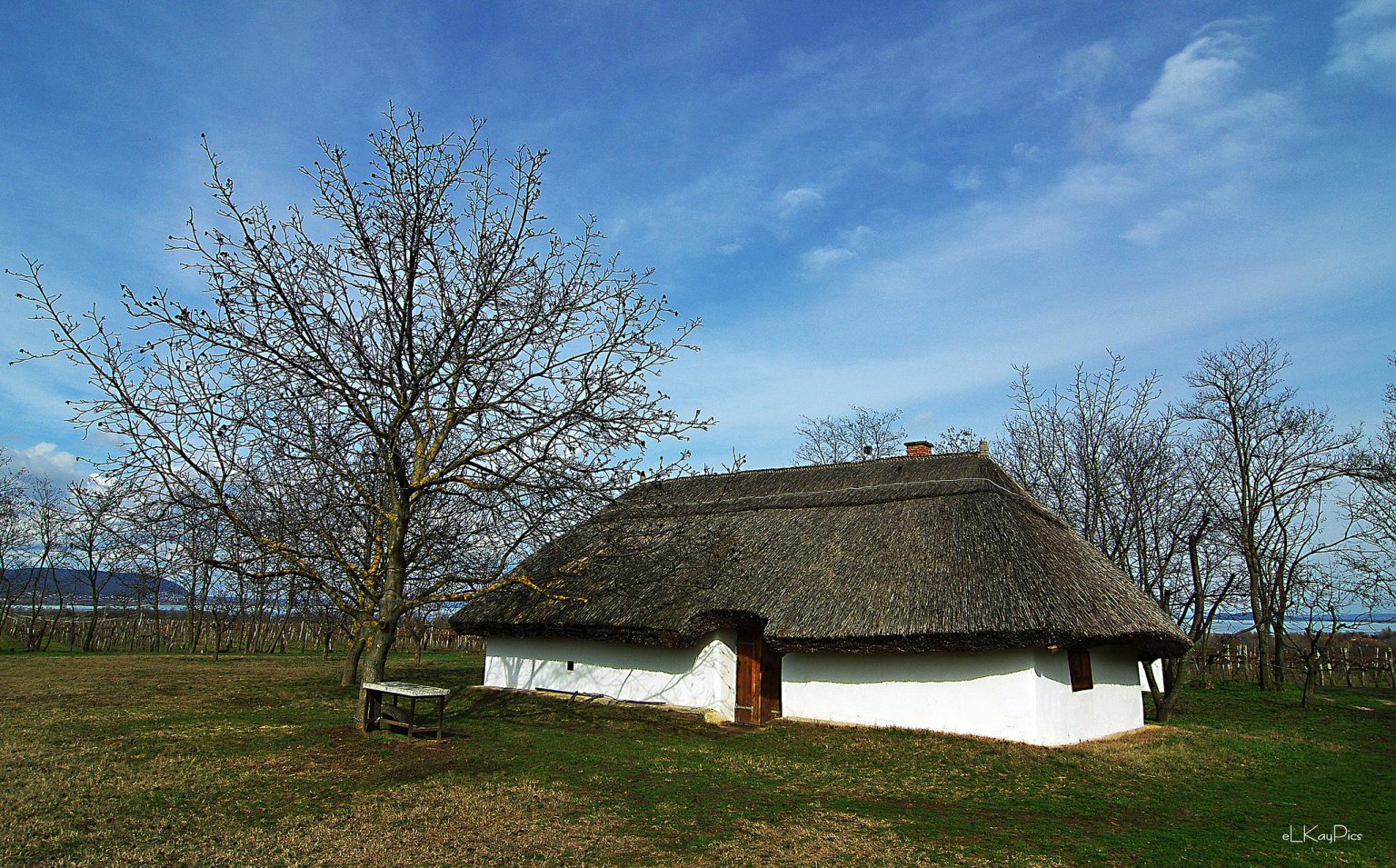 A Guide to Garden Room Roofs Home Garden Room