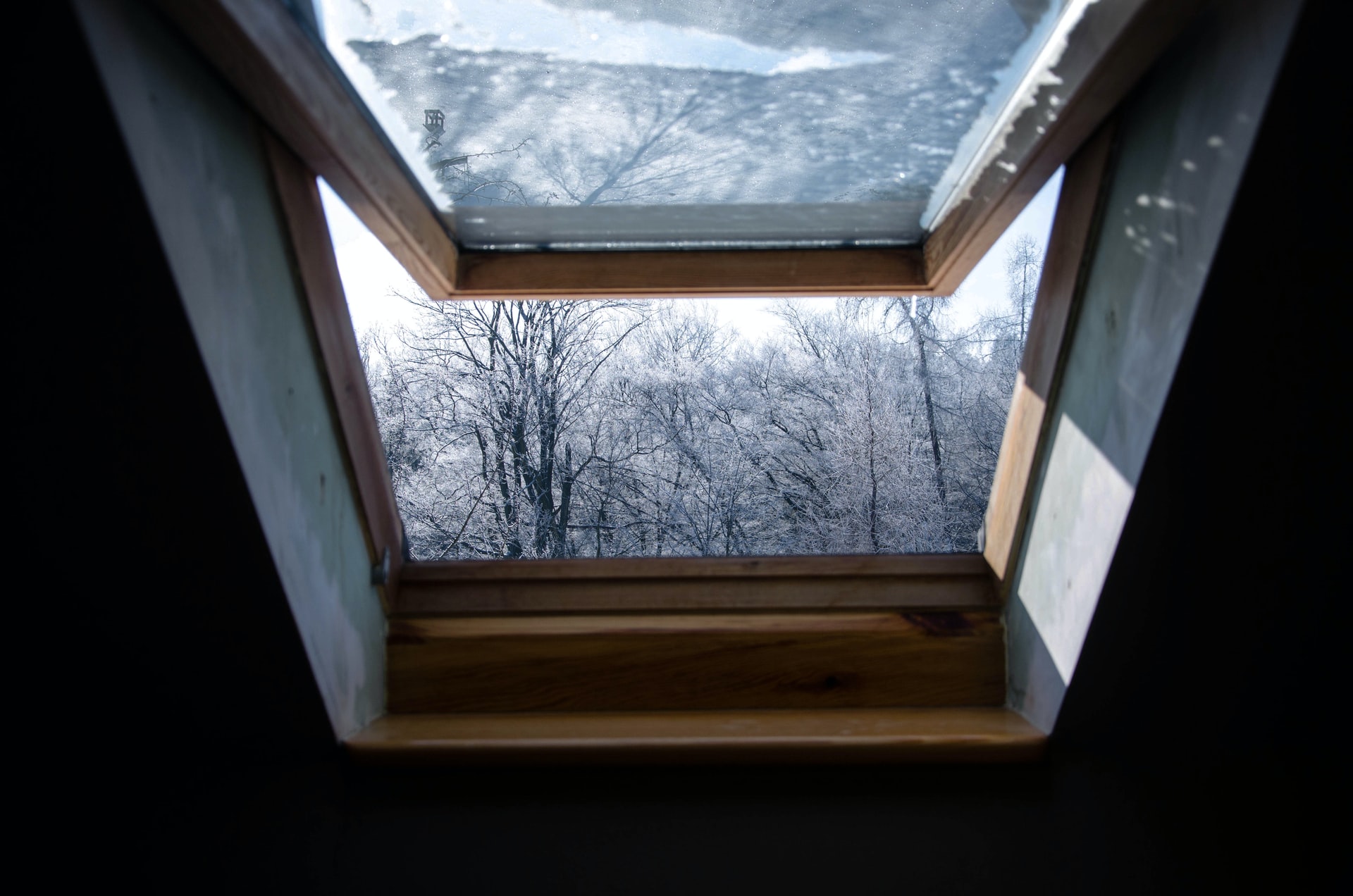 Skylight